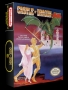 Nintendo  NES&nbsp; - &nbsp;Castle of Dragon (USA)